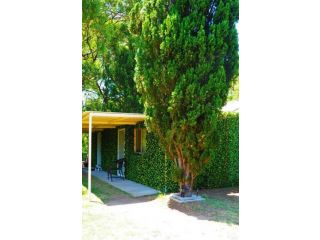 1 Private Single Room in Carramar 1-minute walk to Station - ROOM ONLY Guest house, Villawood - 3