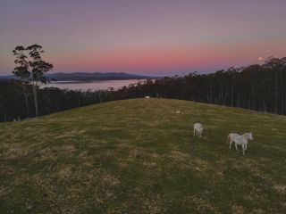 Farm Stay & Iconic Water Views - 32 Zachary Drive Guest house, Mallacoota - 4