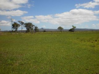 Country View Motel Ilbilbie Hotel, Queensland - 5