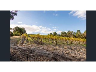 A Vintner's Luck - The Snug Bed and breakfast, South Australia - 1