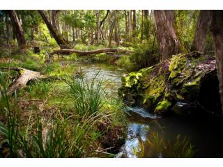 Ablac Studio Guest house, Glenlyon - 4