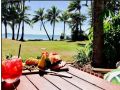 Dolphin Heads Absolute Beachfront - Self Managed Unit - Whitsunday Getaway! Apartment, Queensland - thumb 5