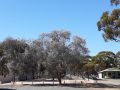 Acclaim Gateway Tourist Park Accomodation, Western Australia - thumb 19