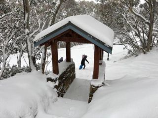 Affordable Skiing Mt Buller - 450m from ski lift Apartment, Mount Buller - 1