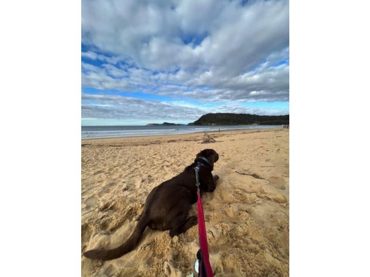 Allyâ€™s Umina Oasis, pet-friendly spa coastal oasis Guest house, Umina - imaginea 18