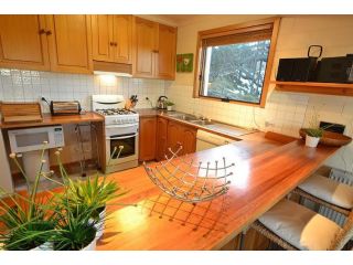 Alpine Haven 1 Apartment, Mount Hotham - 3