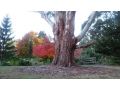 Altona Garden Retreat Guest house, Tasmania - thumb 14
