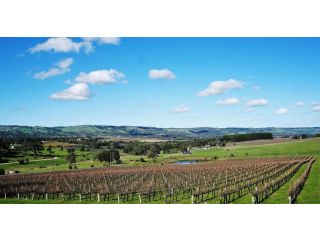 Amongst the Vines Deluxe Retreat Guest house, South Australia - 1