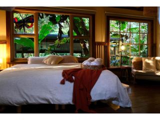 Ananda Eco House - Eco Rainforest Retreat Guest house, Montville - 4