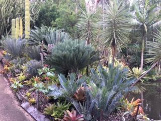 Ancient Gardens Guesthouse & Botanical Gardens Villa, Queensland - 3