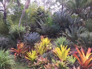 Ancient Gardens Guesthouse & Botanical Gardens Villa, Queensland - 5