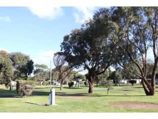 Anglesea Family Caravan Park Accomodation, Anglesea - 1