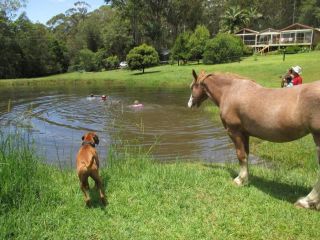 Anne's Coastal Chalet Apartment, New South Wales - 2