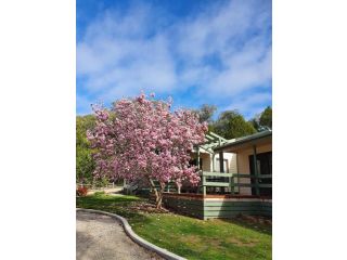 Annies Holiday Units Apartment, Beechworth - 5