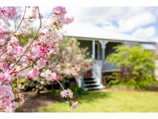 Apple Blossom Cottages Guest house, Stanthorpe - 2