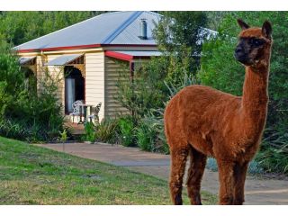 Araluen Park Cottages Hotel, Lakes Entrance - 3