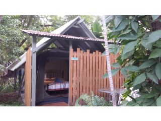 Arcadia Beach Guest House and Car Hire Guest house, Nelly Bay - 4