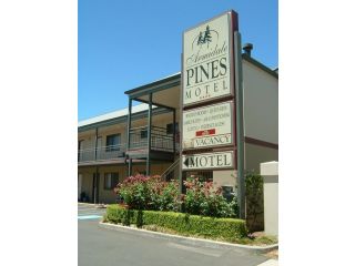Armidale Pines Motel Hotel, Armidale - 2