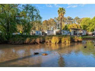 Discovery Parks - Maidens Inn Moama Accomodation, Moama - 1