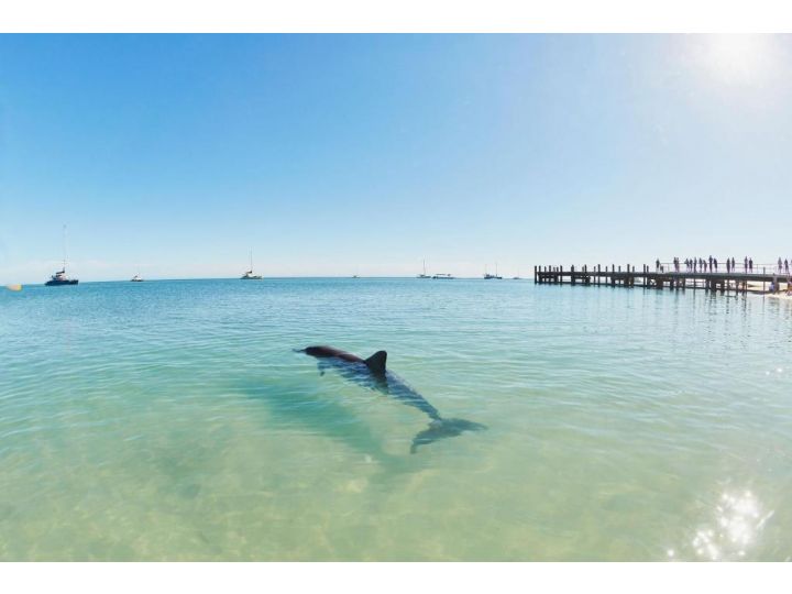 RAC Monkey Mia Dolphin Resort Hotel, Western Australia - imaginea 8