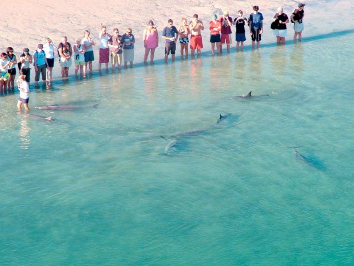 RAC Monkey Mia Dolphin Resort Hotel, Western Australia - imaginea 3