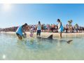 RAC Monkey Mia Dolphin Resort Hotel, Western Australia - thumb 1