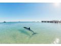 RAC Monkey Mia Dolphin Resort Hotel, Western Australia - thumb 8