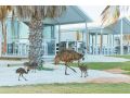 RAC Monkey Mia Dolphin Resort Hotel, Western Australia - thumb 18