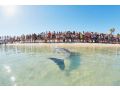 RAC Monkey Mia Dolphin Resort Hotel, Western Australia - thumb 5