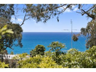 Avirgonia Guest house, Lorne - 4