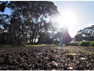 Banksia Park Estate Bed and breakfast, Victoria - 1