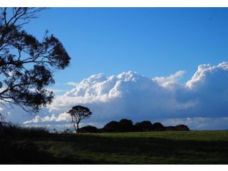 Banksia Park Estate Bed and breakfast, Victoria - 5