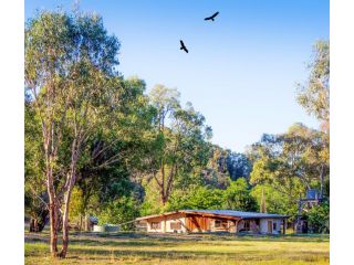 Pilliga Pottery Creative Farmstay Farm stay, Coonabarabran - 4