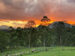 Mt Maroon Farm House Stay Guest house, New South Wales - 1