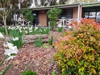 Barossa Country Cottages Bed and breakfast, Lyndoch - 4