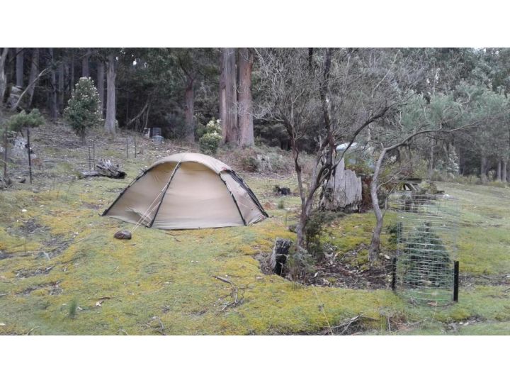 Base Camp Tasmania Campsite, New Norfolk - imaginea 16