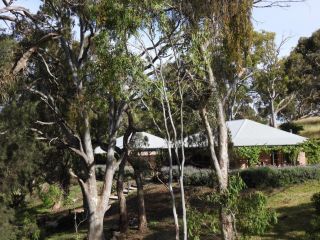 Battunga Cottages Bed and breakfast, Watervale - 1