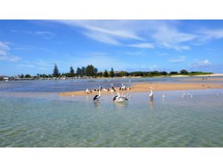 Bay House Motel Hotel, Bateau Bay - 3