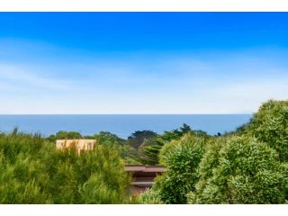 Beach Road Luxury with Ocean Views Guest house, Aireys Inlet - 4