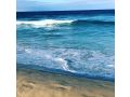 #Beach Shack On Oceanic Guest house, Buddina - thumb 19