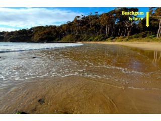 Beachgum Guest house, Sunshine Bay - 4