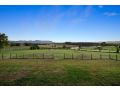 beautiful homestead property with mountain views Guest house, Ellalong - thumb 5