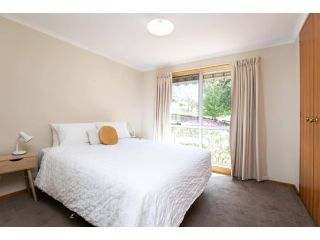 Beautiful Sunny Home Close To The CBD and Gorge Apartment, Royal Park - 1