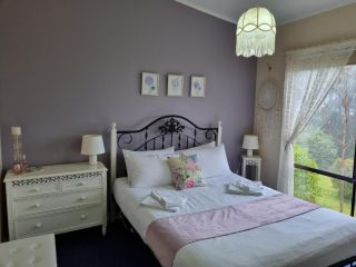 Beech Forest Cottage (Cozy Otways Accommodation) Guest house, Victoria - 3