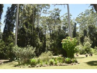 Beechs' Brook Rainforest Retreat Bed and breakfast, Queensland - 1