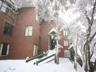Beehive 18 Mt Buller by Alpine Holiday Rentals Apartment, Mount Buller - 2