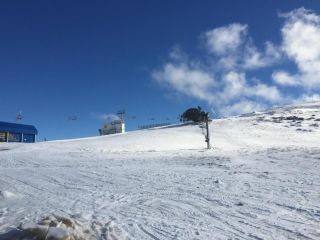 Beehive 18 Mt Buller by Alpine Holiday Rentals Apartment, Mount Buller - 4