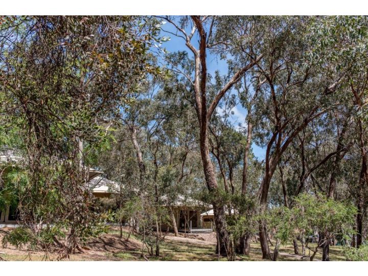 Belair National Park Holiday Park Campsite, South Australia - imaginea 10