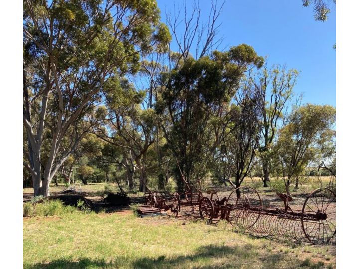 Belalie Wines Farm stay, South Australia - imaginea 5