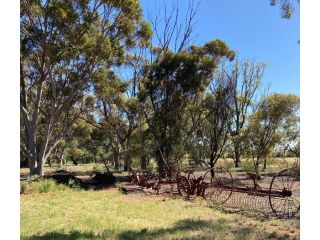 Belalie Wines Farm stay, South Australia - 5